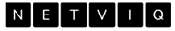 netviq logo