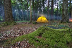 Utnyttja allemansrätten och tälta i sommar