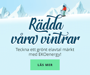Välj elavtal med omsorg